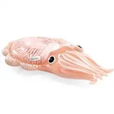 Intex 58731, надувной плотик Каракатица, 198x132 см, от 6 лет Intex 58731, надувной плотик Каракатица, 198x132 см, от 6 лет