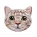 Intex 58784, надувной плотик Голова кошки, 147x135 см